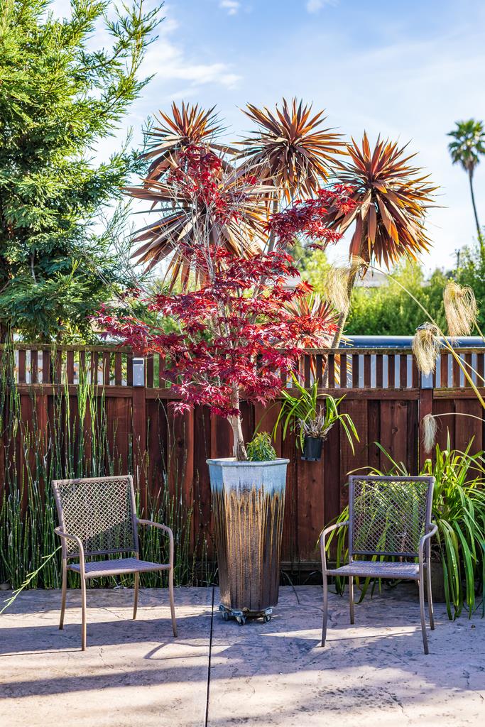 Detail Gallery Image 52 of 68 For 1021 Webster St, Santa Cruz,  CA 95062 - 3 Beds | 2 Baths