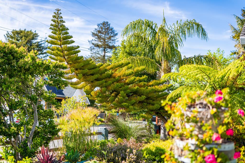 Detail Gallery Image 54 of 68 For 1021 Webster St, Santa Cruz,  CA 95062 - 3 Beds | 2 Baths