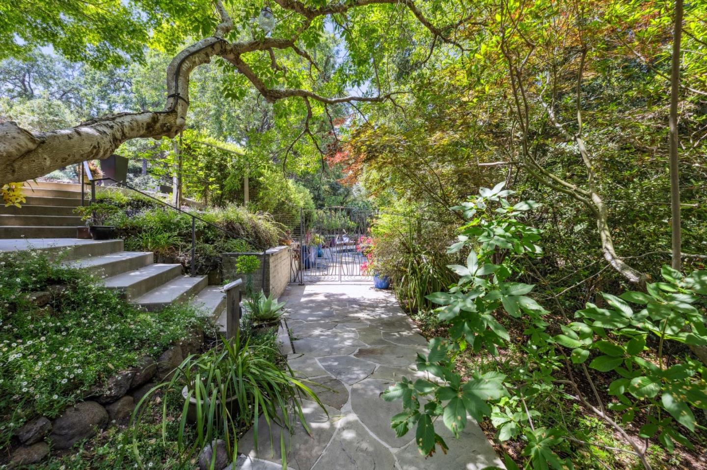 Detail Gallery Image 72 of 111 For 138 Bolivar Ln, Portola Valley,  CA 94028 - 6 Beds | 6 Baths