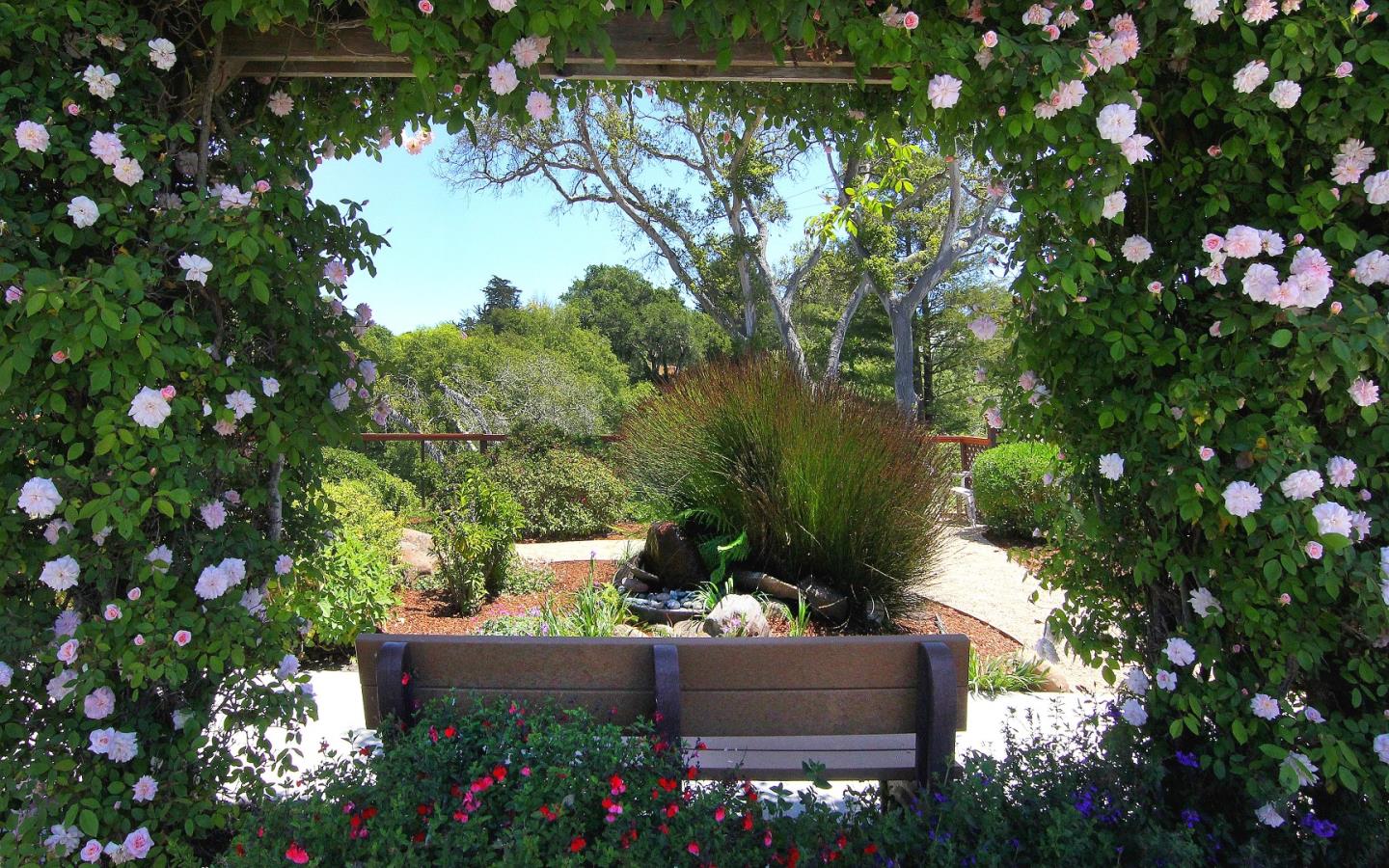 Detail Gallery Image 30 of 35 For 800 Brommer St #34,  Santa Cruz,  CA 95062 - 2 Beds | 1 Baths
