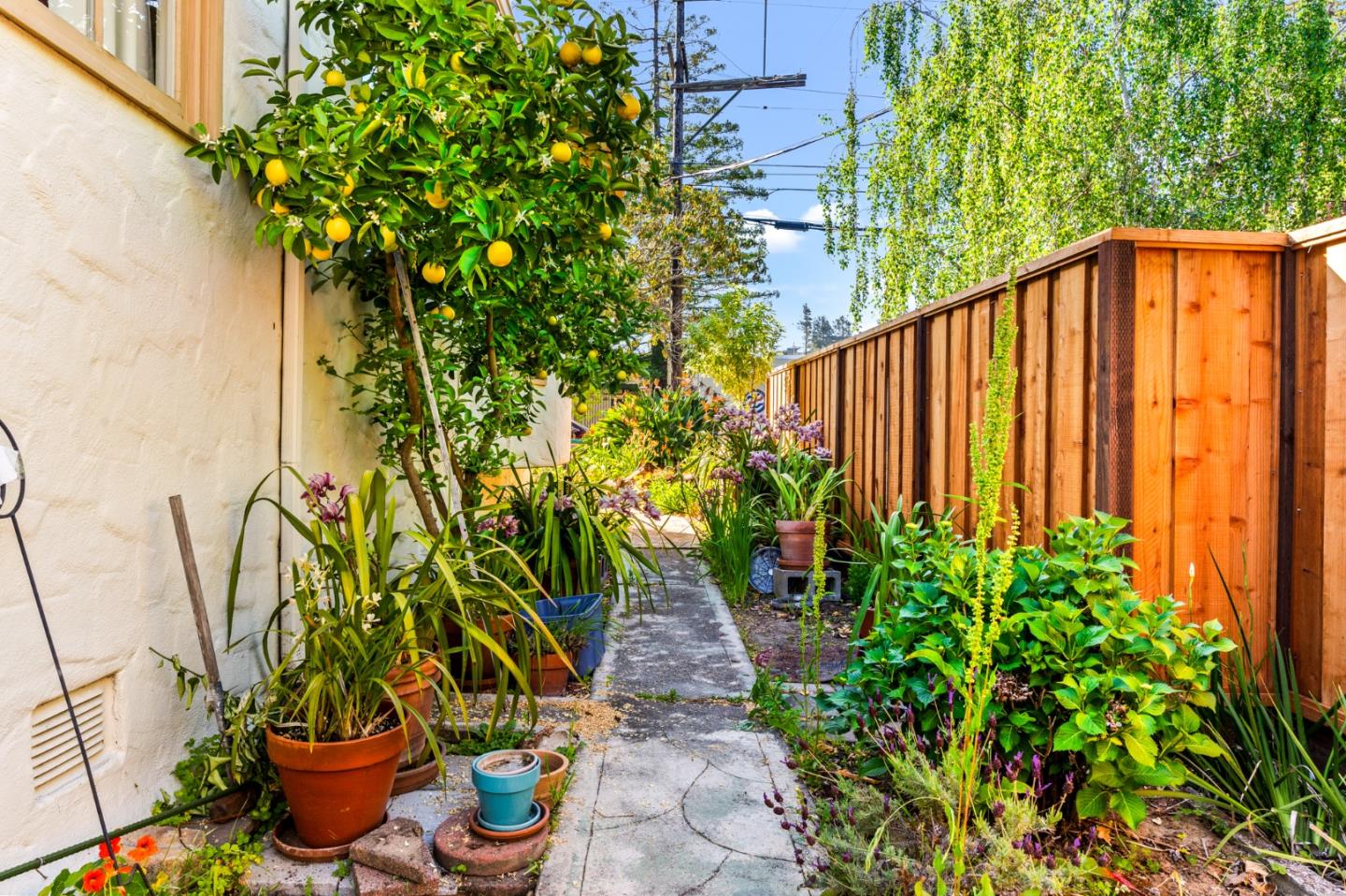 Detail Gallery Image 38 of 54 For 344 Barneson Ave, San Mateo,  CA 94402 - 4 Beds | 2 Baths