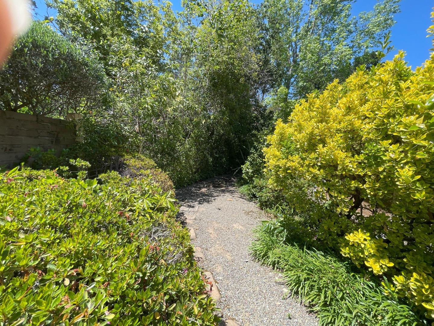 Detail Gallery Image 20 of 23 For 843 Sonoma Terrace, Stanford,  CA 94305 - 4 Beds | 2/1 Baths