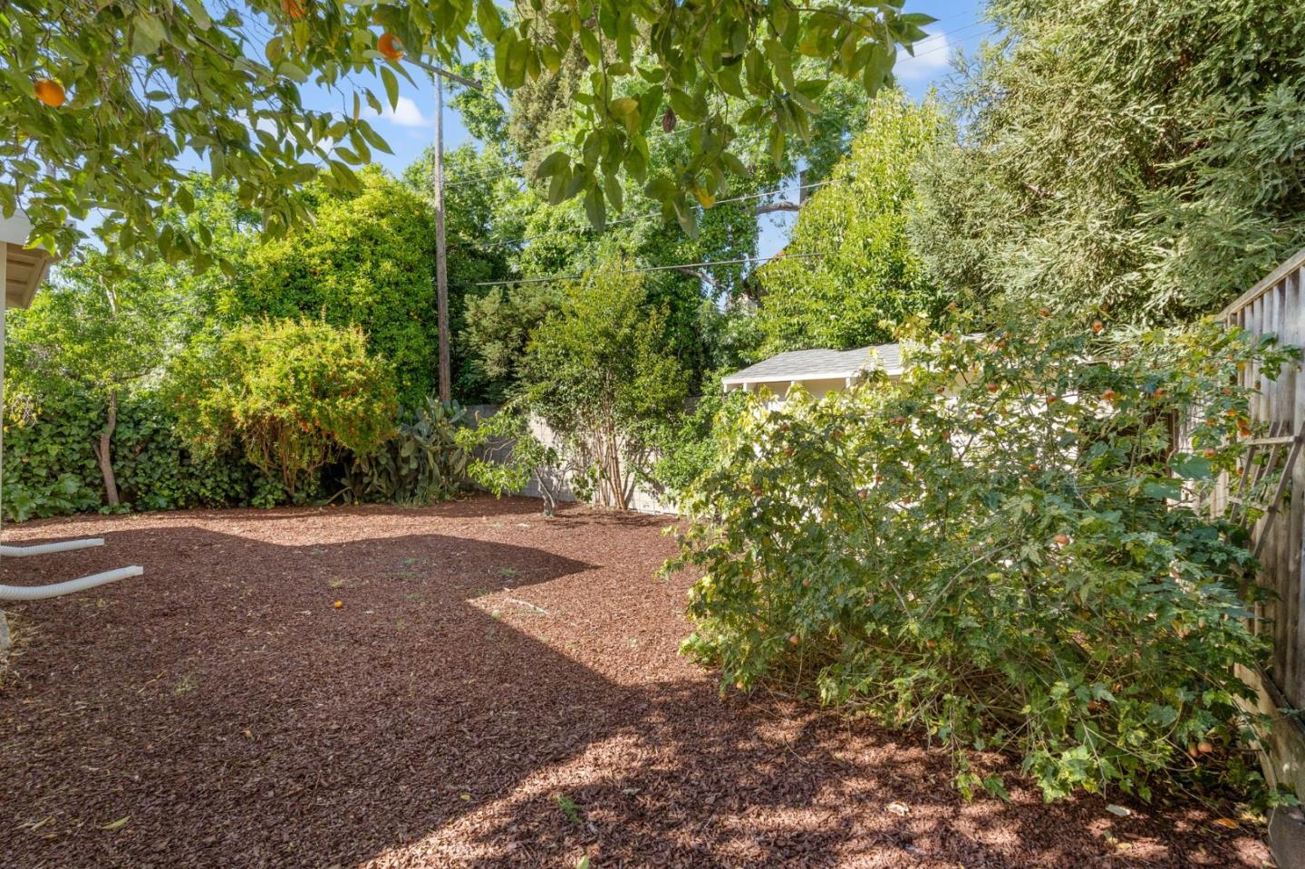 Detail Gallery Image 38 of 45 For 2025 Jackson St, Santa Clara,  CA 95050 - 3 Beds | 2 Baths