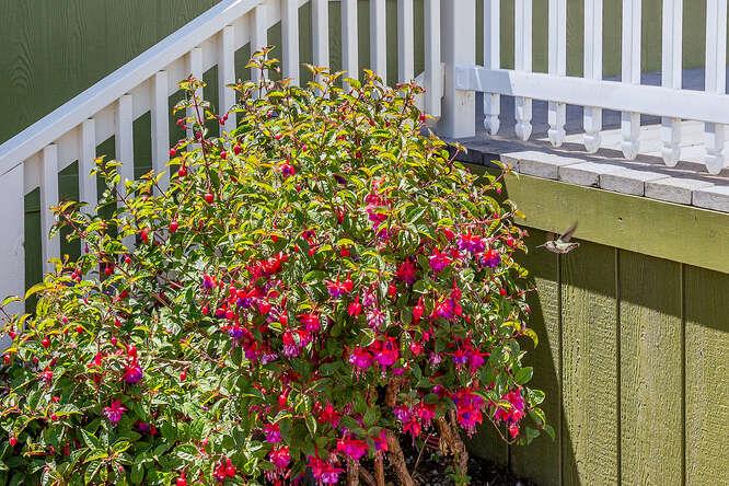 Detail Gallery Image 21 of 37 For 13965 Monte De Oro #12,  Castroville,  CA 95012 - 3 Beds | 2 Baths