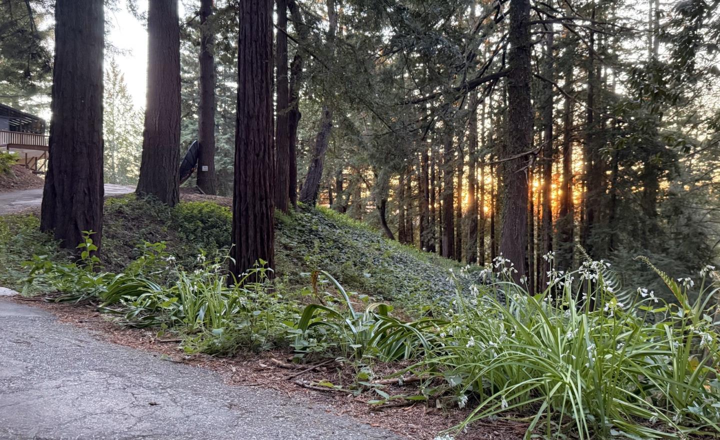 Detail Gallery Image 74 of 74 For 50 Ocean View Rd, Los Gatos,  CA 95033 - 2 Beds | 1/1 Baths
