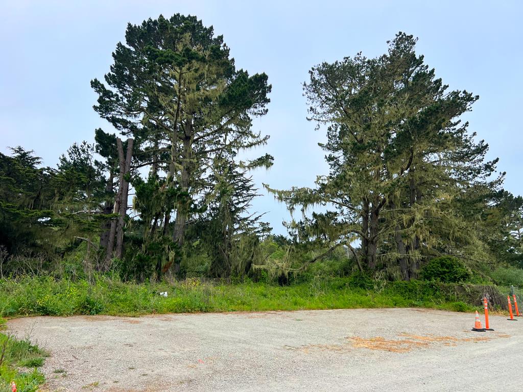 Detail Gallery Image 5 of 13 For 0 Marine Blvd, Moss Beach,  CA 94038 - – Beds | – Baths