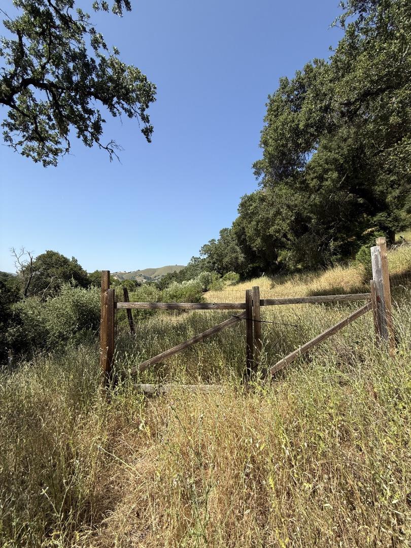 Detail Gallery Image 11 of 18 For 10900 Watsonville Rd, Gilroy,  CA 95020 - – Beds | – Baths