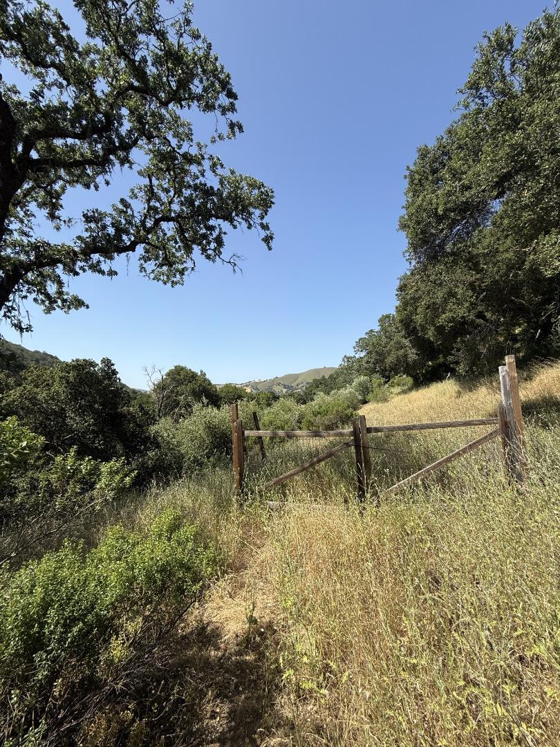 Detail Gallery Image 9 of 18 For 10900 Watsonville Rd, Gilroy,  CA 95020 - – Beds | – Baths