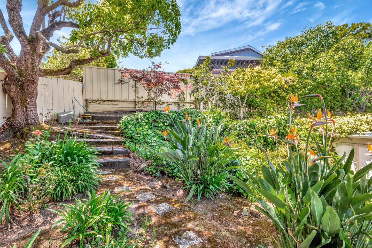 Detail Gallery Image 49 of 57 For 3112 Sunset Ter, San Mateo,  CA 94403 - 4 Beds | 2 Baths