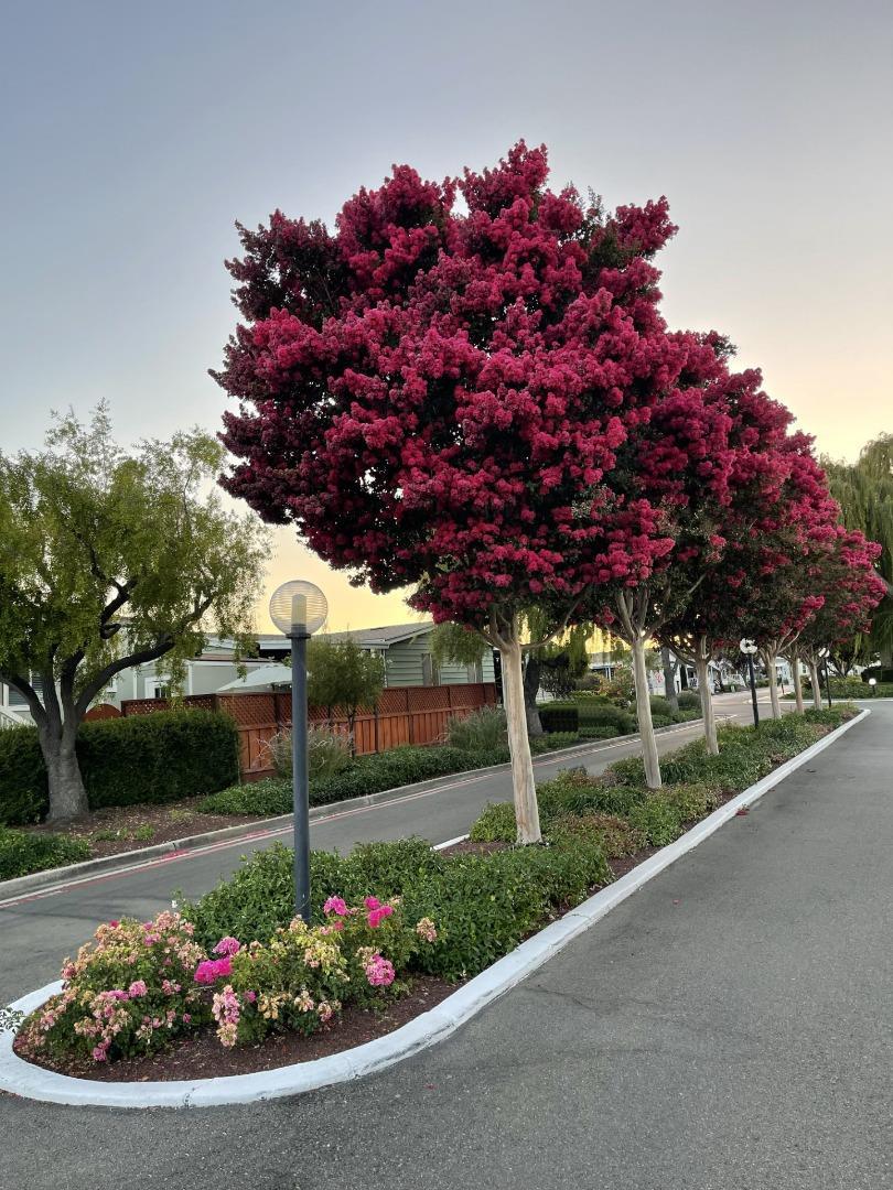 Detail Gallery Image 44 of 50 For 1111 Morse Ave #227,  Sunnyvale,  CA 94089 - 2 Beds | 2 Baths