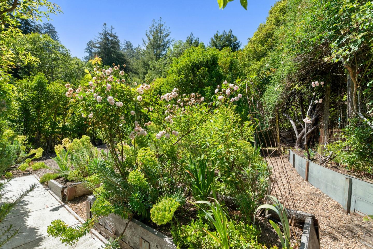 Detail Gallery Image 61 of 63 For 390 Glen Canyon Rd, Santa Cruz,  CA 95060 - 4 Beds | 3 Baths