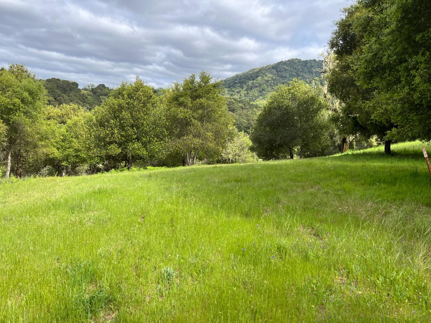 Detail Gallery Image 12 of 16 For 13 Long Ridge Trl, Carmel Valley,  CA 93923 - – Beds | – Baths