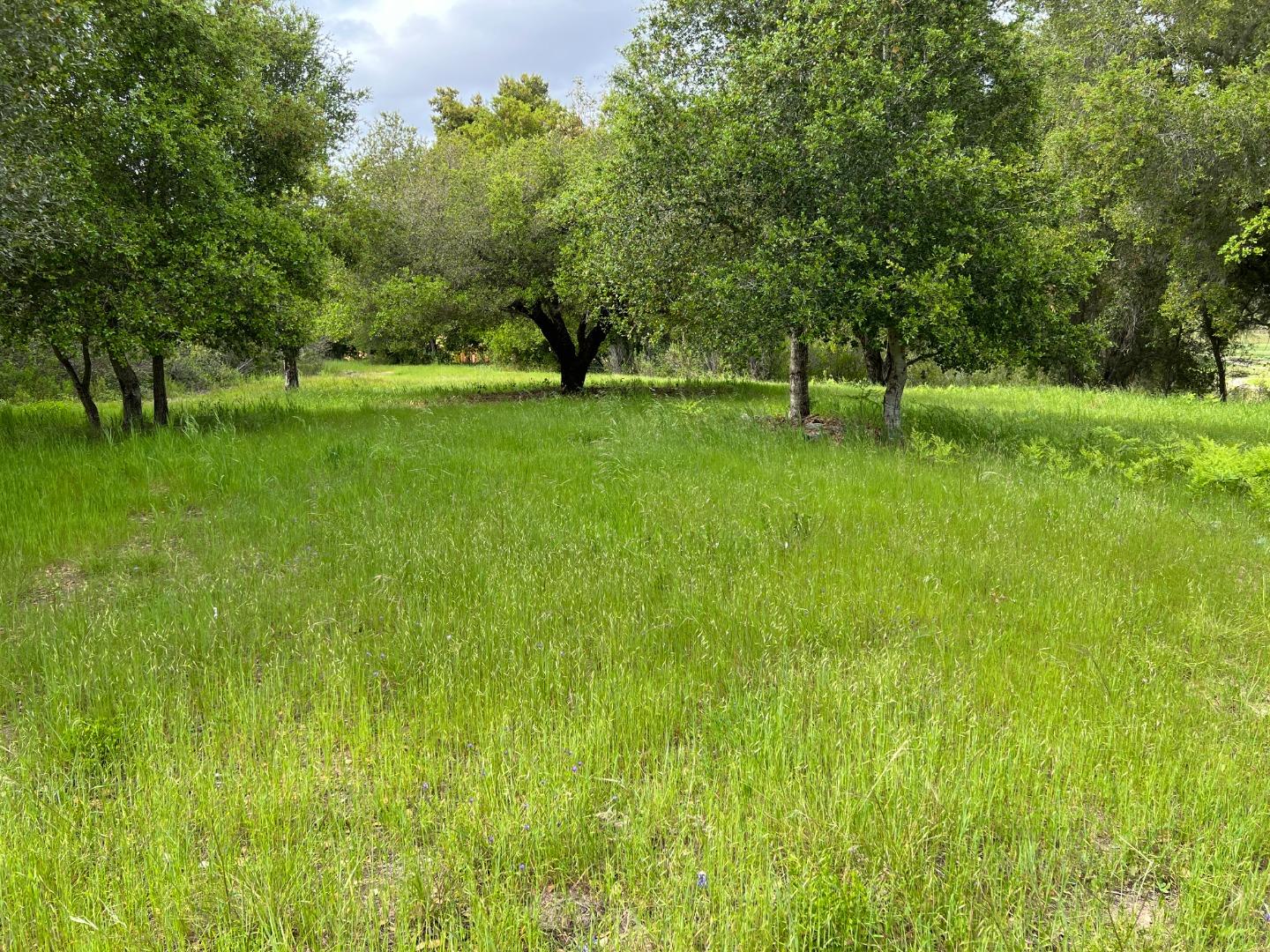 Detail Gallery Image 14 of 16 For 13 Long Ridge Trl, Carmel Valley,  CA 93923 - – Beds | – Baths