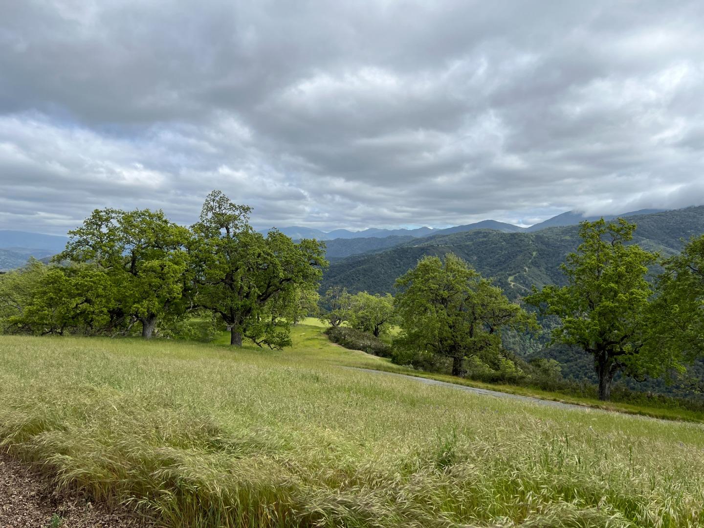 Detail Gallery Image 2 of 16 For 13 Long Ridge Trl, Carmel Valley,  CA 93923 - – Beds | – Baths