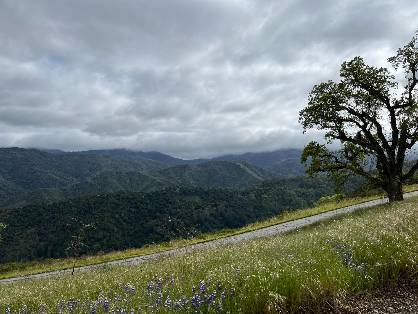 Detail Gallery Image 6 of 16 For 13 Long Ridge Trl, Carmel Valley,  CA 93923 - – Beds | – Baths
