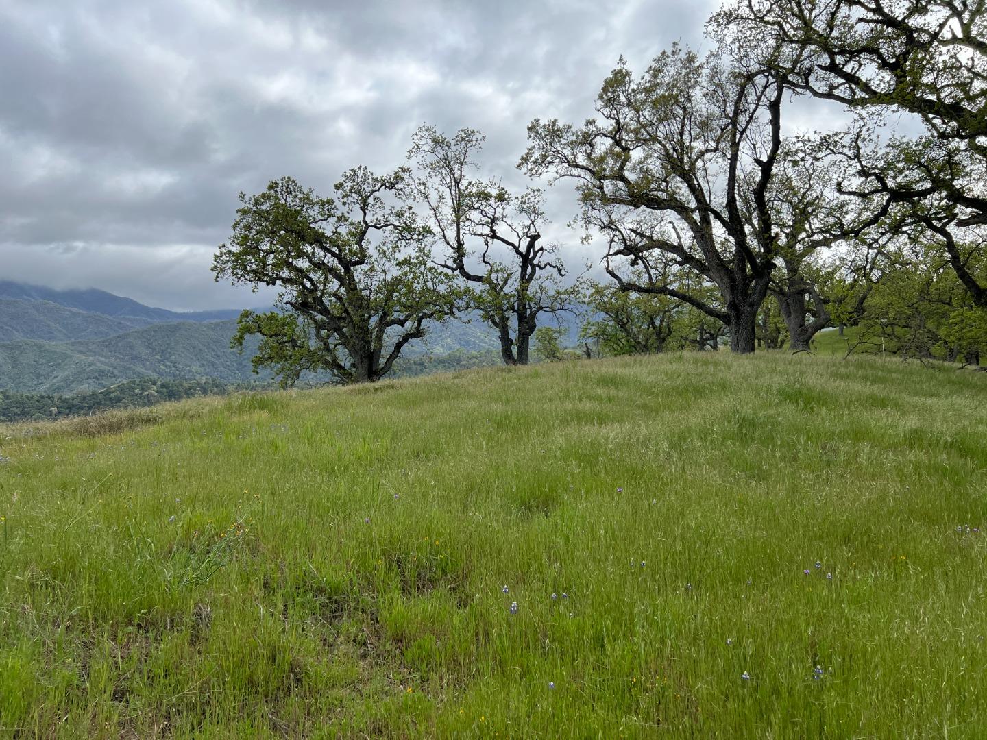 Detail Gallery Image 7 of 16 For 13 Long Ridge Trl, Carmel Valley,  CA 93923 - – Beds | – Baths