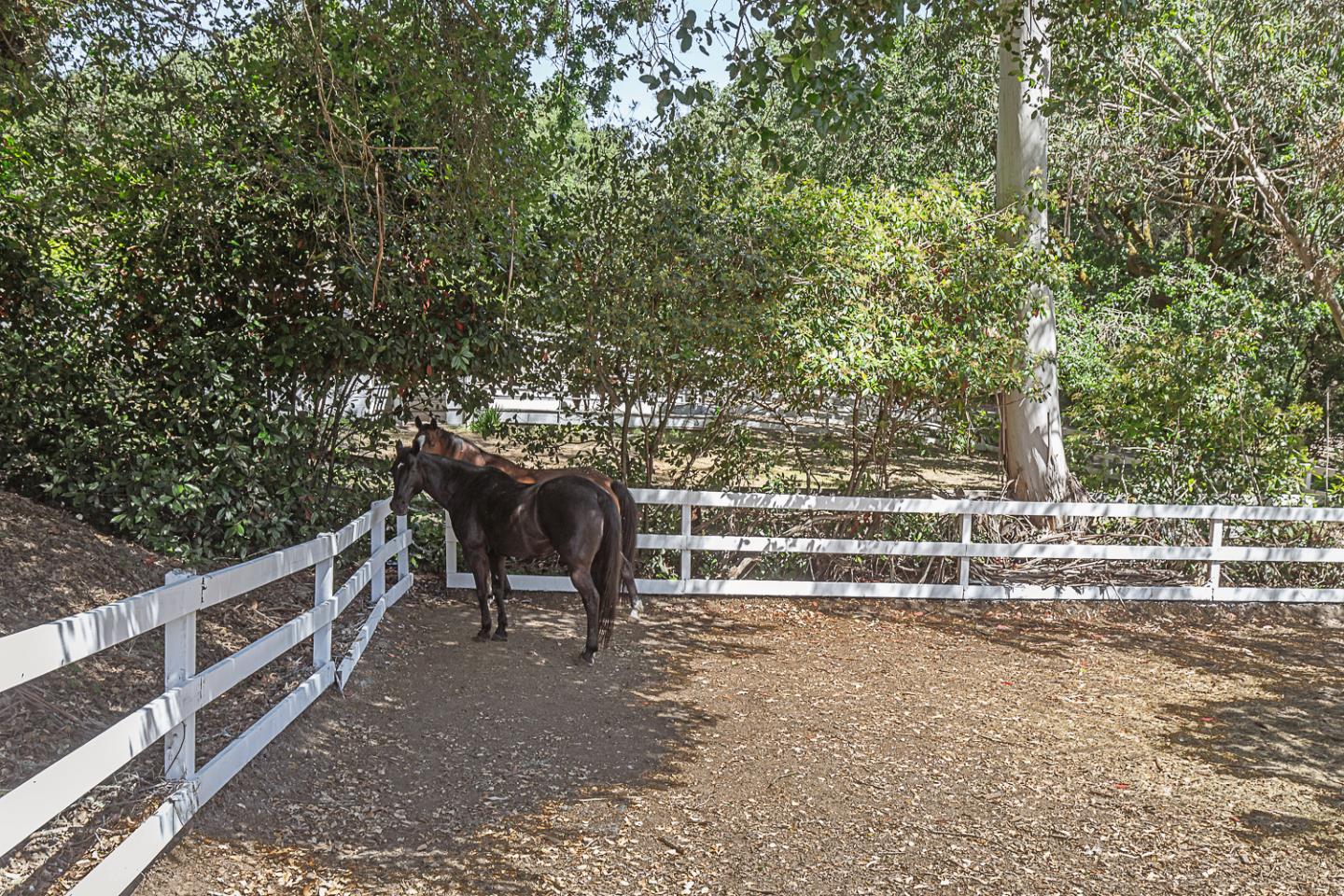 Detail Gallery Image 37 of 41 For 3570 Tripp Rd, Woodside,  CA 94062 - 4 Beds | 3 Baths