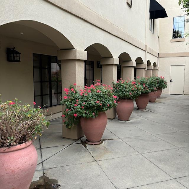 Detail Gallery Image 19 of 21 For 633 Elm St #415,  San Carlos,  CA 94070 - 1 Beds | 1 Baths