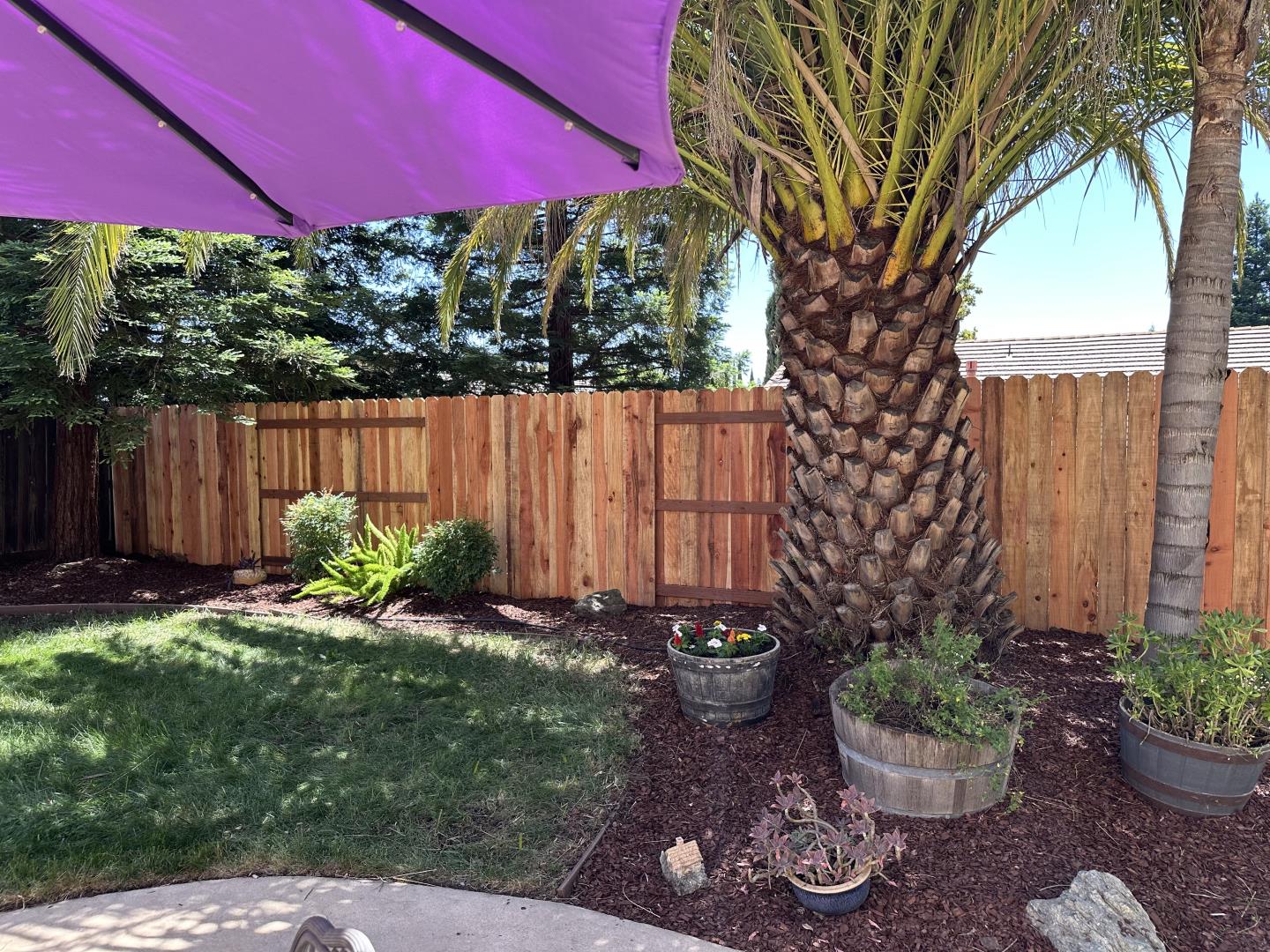 Detail Gallery Image 21 of 27 For 764 Densmore Ct, Folsom,  CA 95630 - 3 Beds | 2 Baths