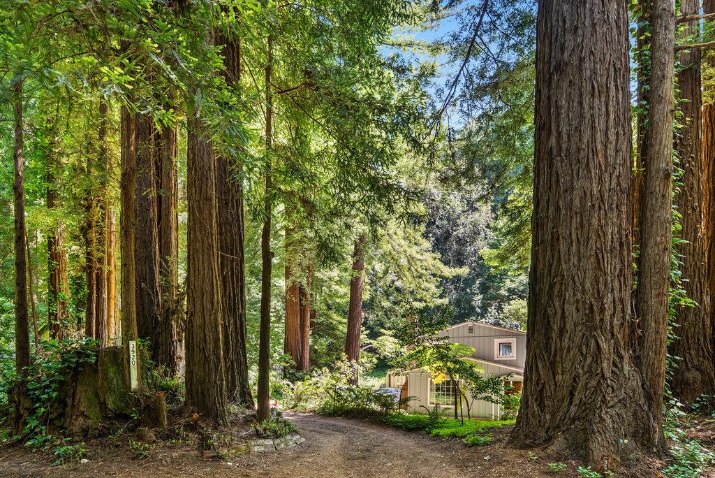 Detail Gallery Image 20 of 30 For 3920 Porter Gulch Rd, Aptos,  CA 95003 - 2 Beds | 1 Baths