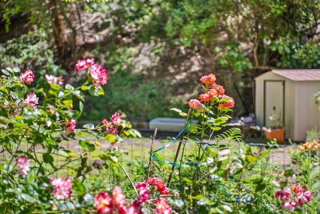 Detail Gallery Image 6 of 30 For 3920 Porter Gulch Rd, Aptos,  CA 95003 - 2 Beds | 1 Baths