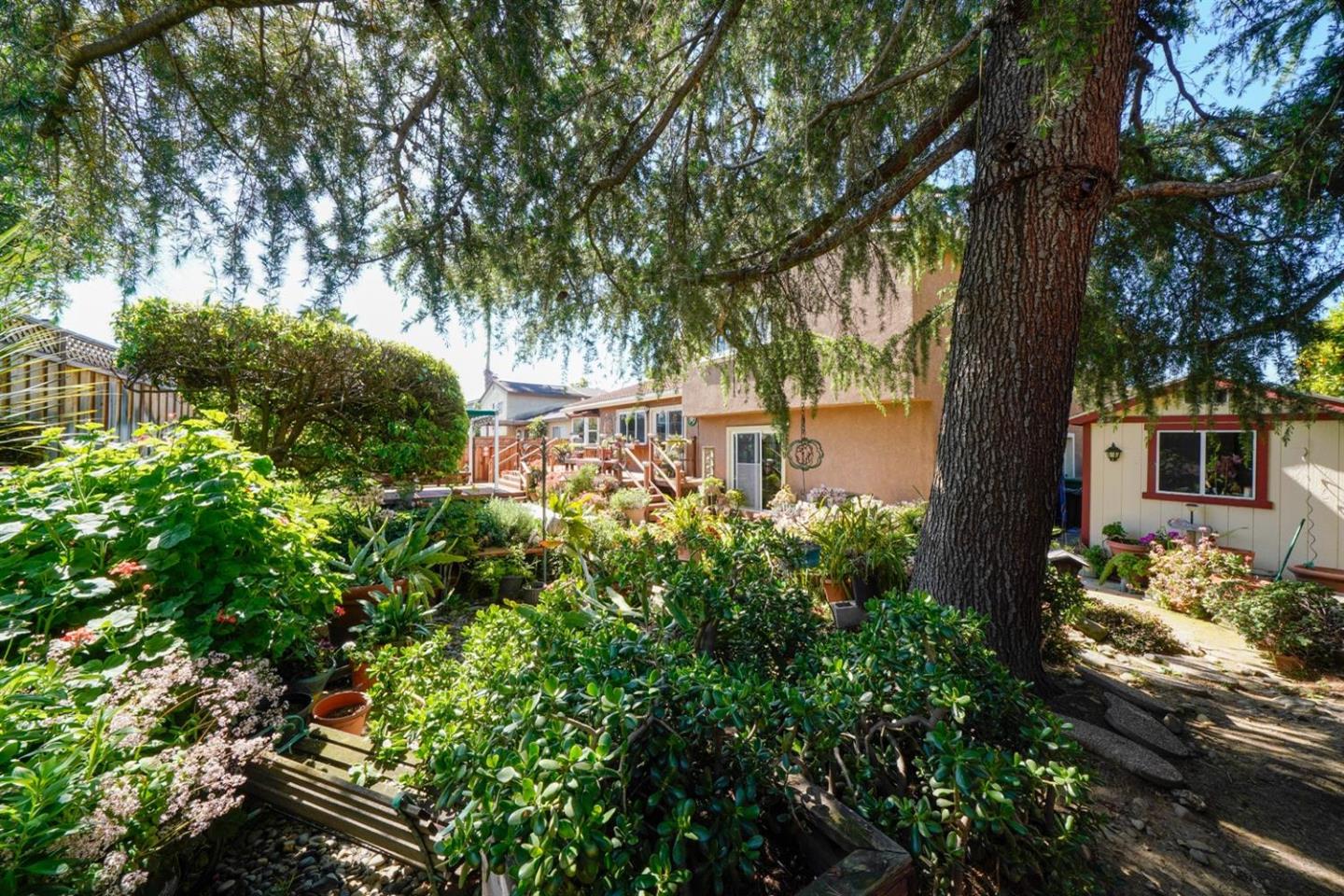 Detail Gallery Image 24 of 26 For 744 Salt Lake Dr, San Jose,  CA 95133 - 4 Beds | 2/1 Baths