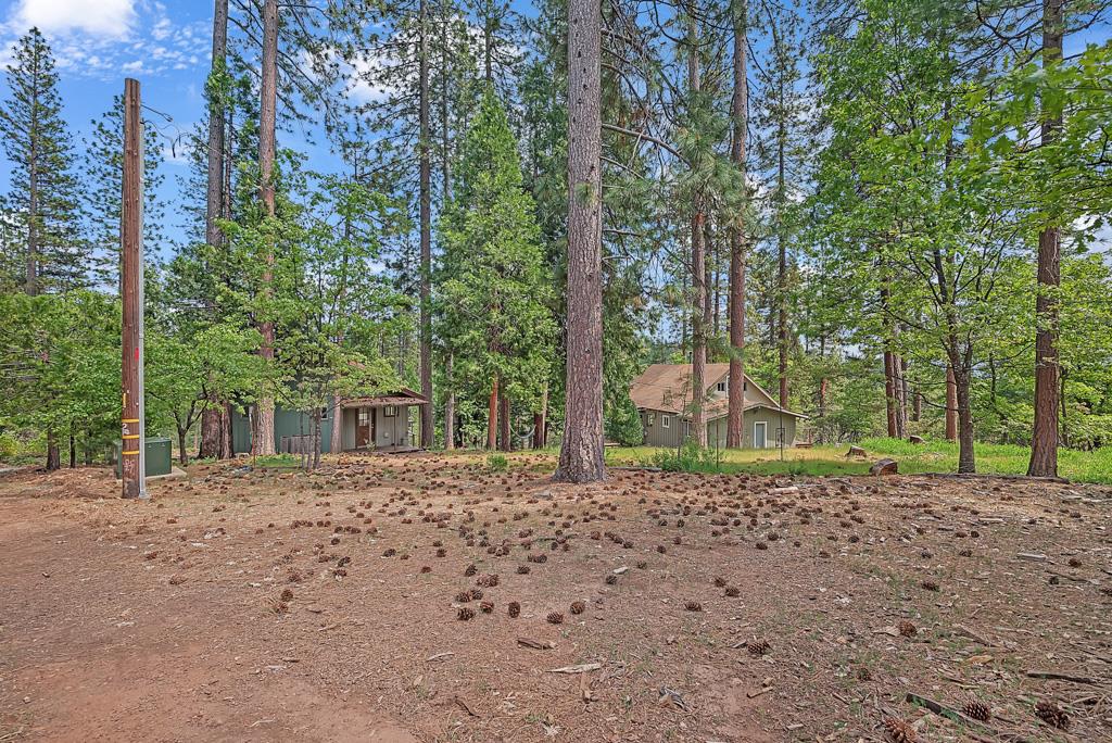 Detail Gallery Image 39 of 46 For 1753 Lightning Ln, Arnold,  CA 95223 - 3 Beds | 2 Baths