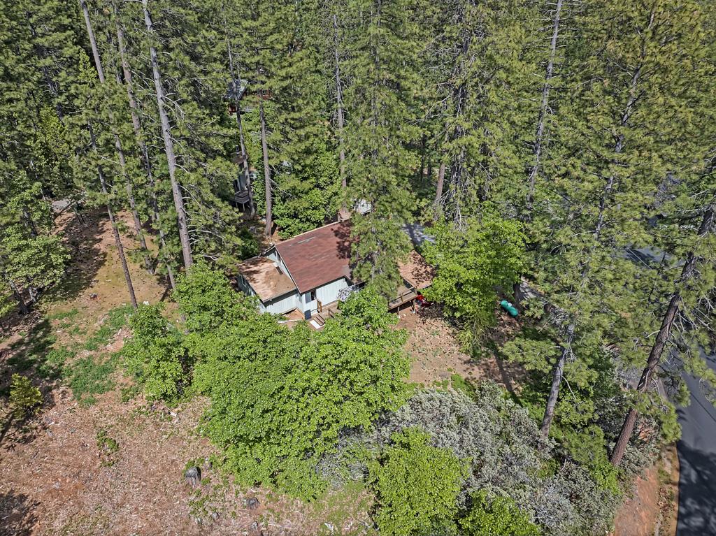Detail Gallery Image 41 of 46 For 1753 Lightning Ln, Arnold,  CA 95223 - 3 Beds | 2 Baths