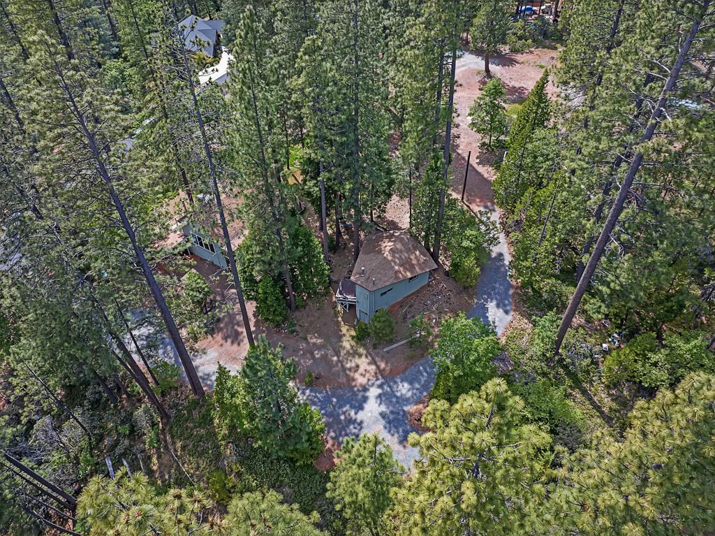Detail Gallery Image 42 of 46 For 1753 Lightning Ln, Arnold,  CA 95223 - 3 Beds | 2 Baths