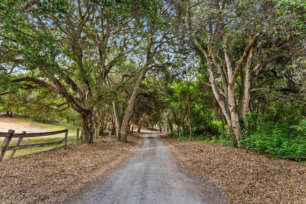 Detail Gallery Image 38 of 63 For 2077 San Juan Rd, Aromas,  CA 95004 - 5 Beds | 3/1 Baths