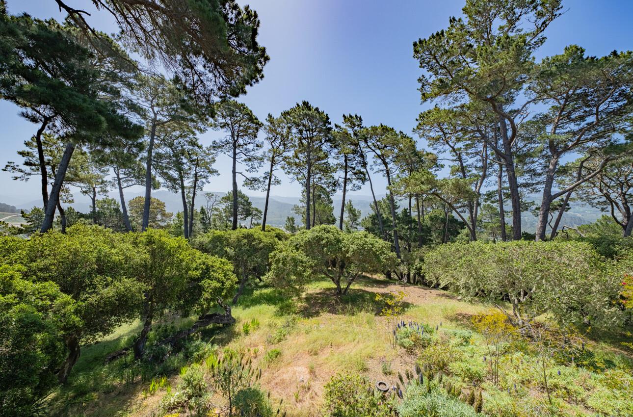 Detail Gallery Image 15 of 53 For 154 Del Mesa Carmel, Carmel,  CA 93923 - 2 Beds | 2 Baths