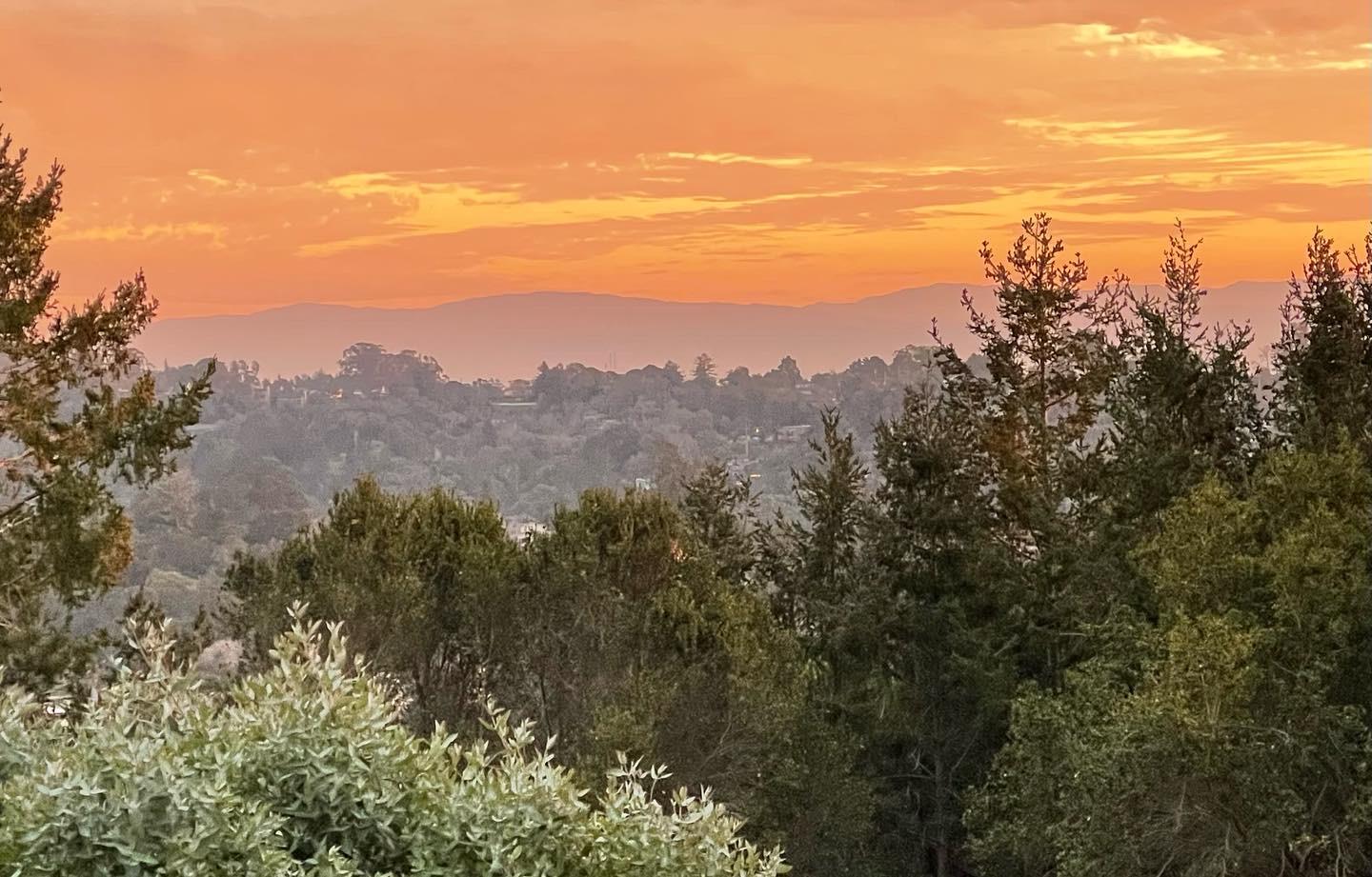 Detail Gallery Image 41 of 64 For 645 Skyward Dr, Aptos,  CA 95003 - 3 Beds | 2/1 Baths