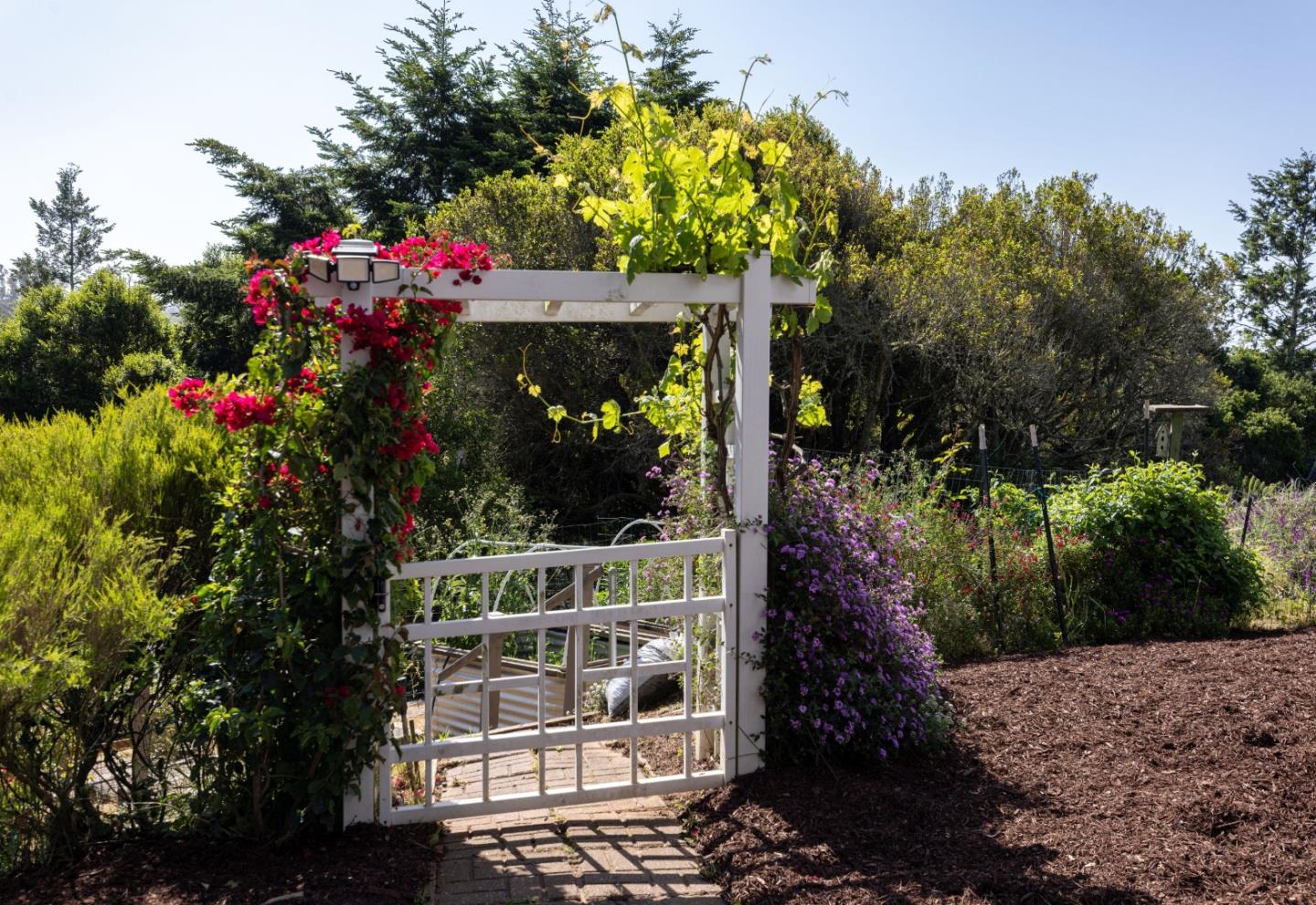 Detail Gallery Image 55 of 64 For 645 Skyward Dr, Aptos,  CA 95003 - 3 Beds | 2/1 Baths
