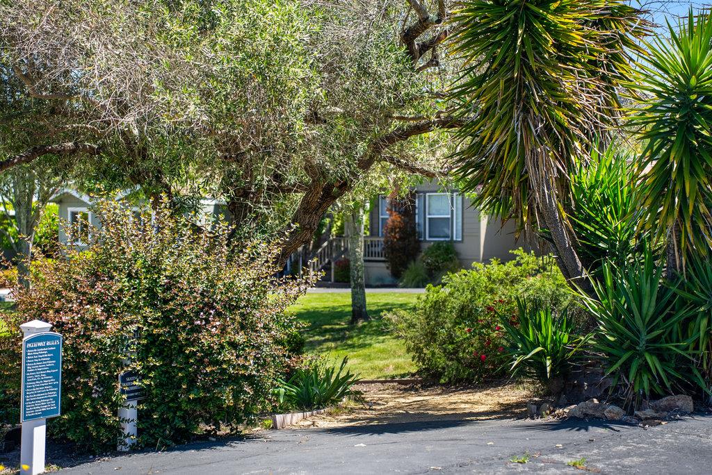 Detail Gallery Image 29 of 29 For 444 Whispering Pines Dr #116,  Scotts Valley,  CA 95066 - 3 Beds | 2 Baths