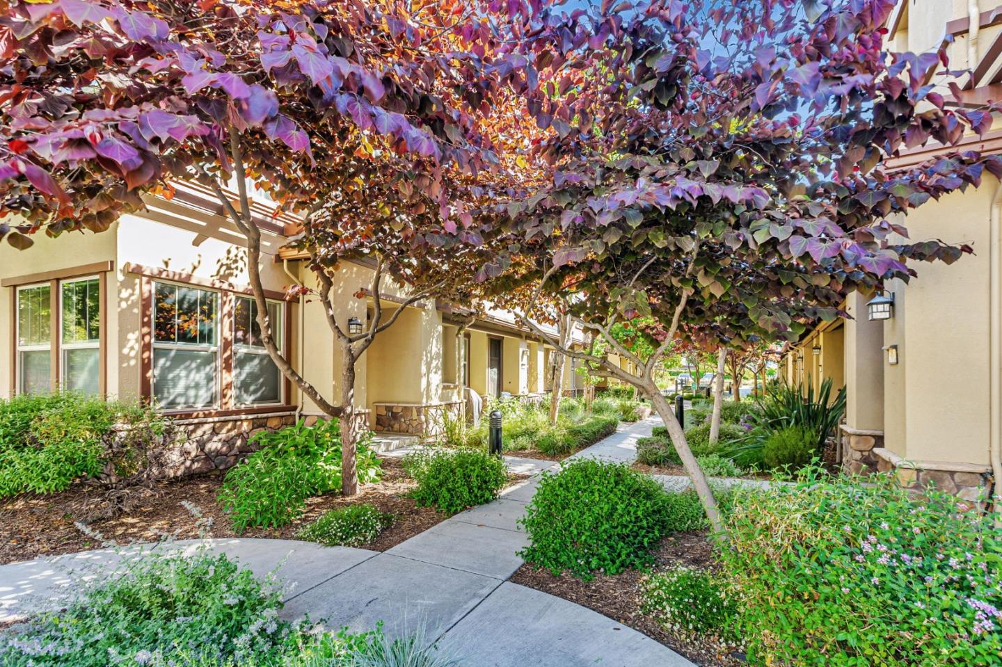Detail Gallery Image 27 of 30 For 1005 Marcelli Cir, Los Altos,  CA 94022 - 4 Beds | 2/1 Baths
