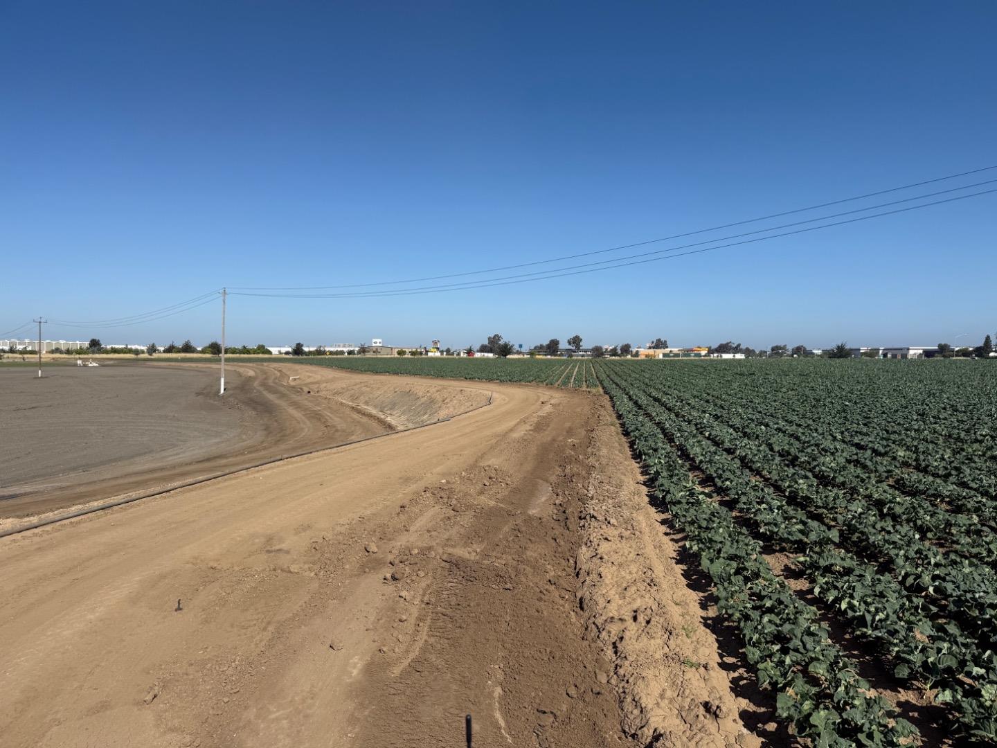 Detail Gallery Image 4 of 8 For 0000 Roy Diaz St, Salinas,  CA 93905 - – Beds | – Baths