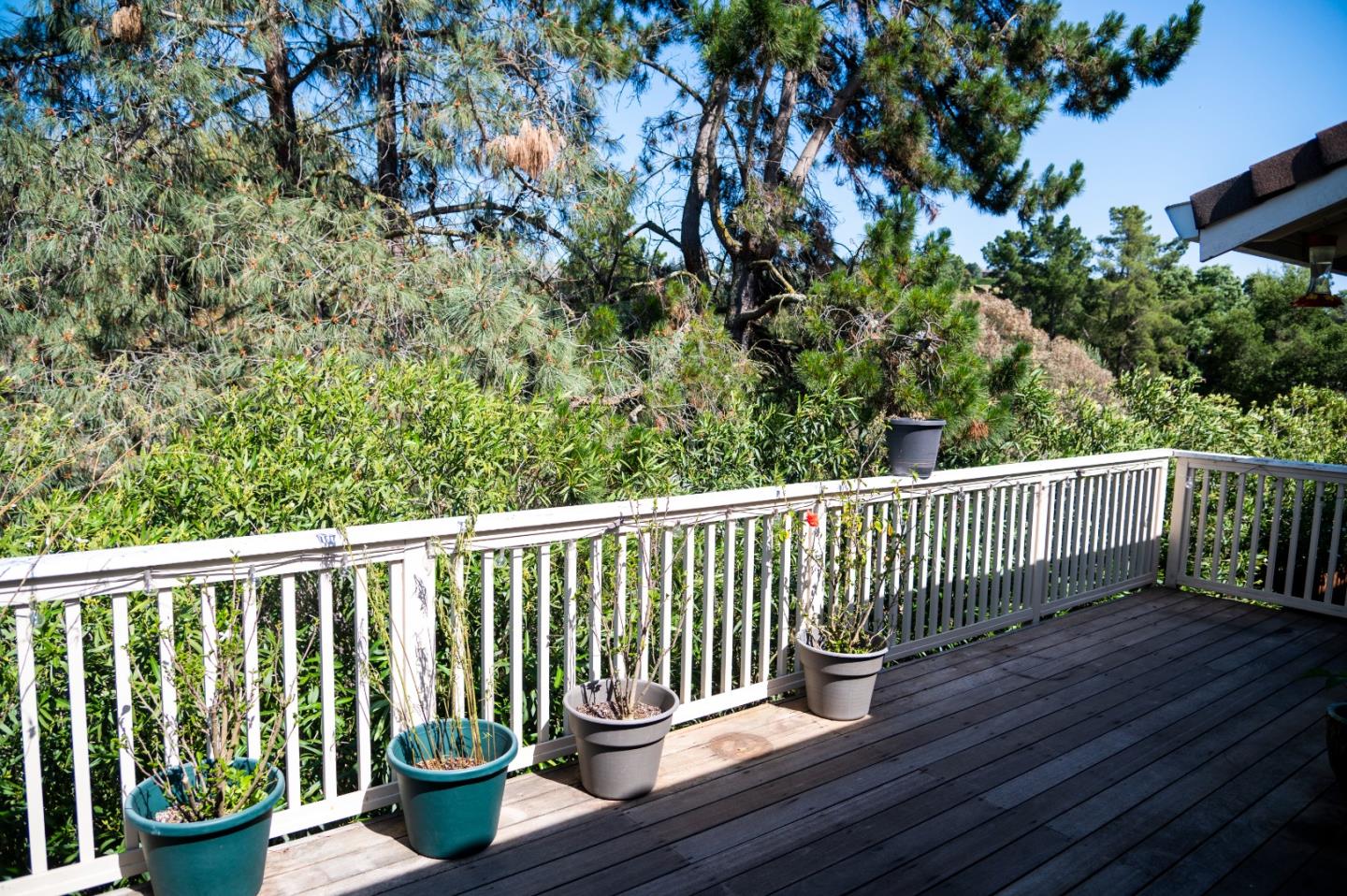 Detail Gallery Image 12 of 29 For 16973 Sara Jane Ct, Morgan Hill,  CA 95037 - 2 Beds | 2/1 Baths
