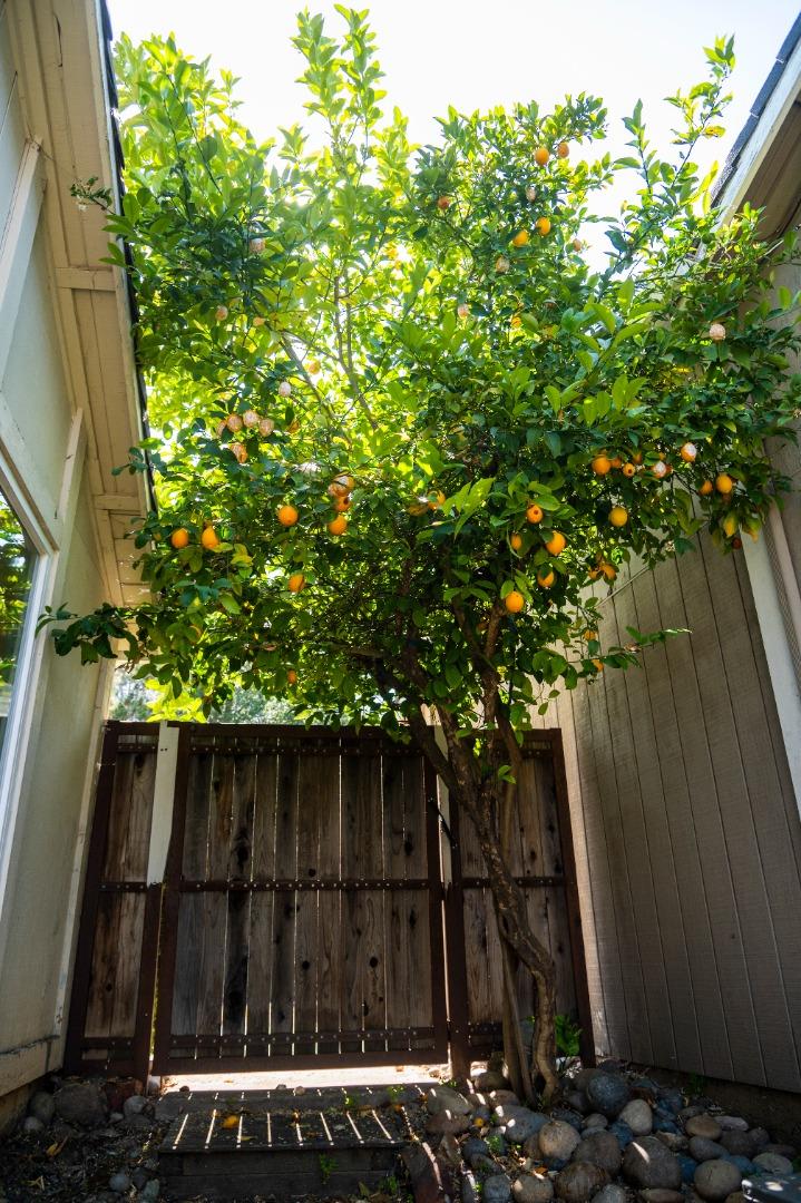 Detail Gallery Image 27 of 29 For 16973 Sara Jane Ct, Morgan Hill,  CA 95037 - 2 Beds | 2/1 Baths