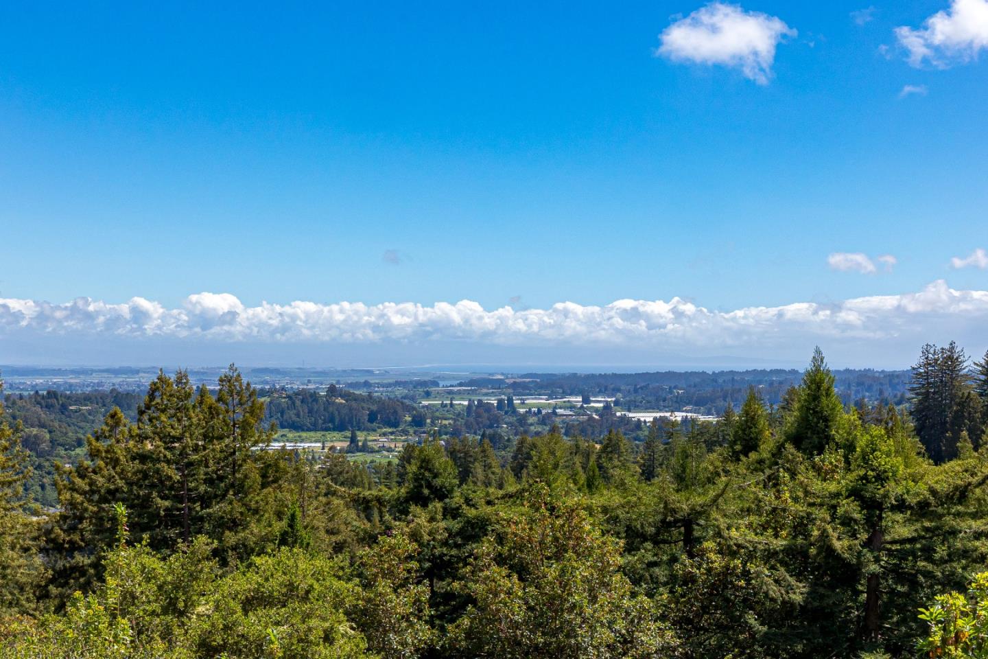 Detail Gallery Image 6 of 73 For 1081 Avocado Rd, Watsonville,  CA 95076 - 3 Beds | 2 Baths