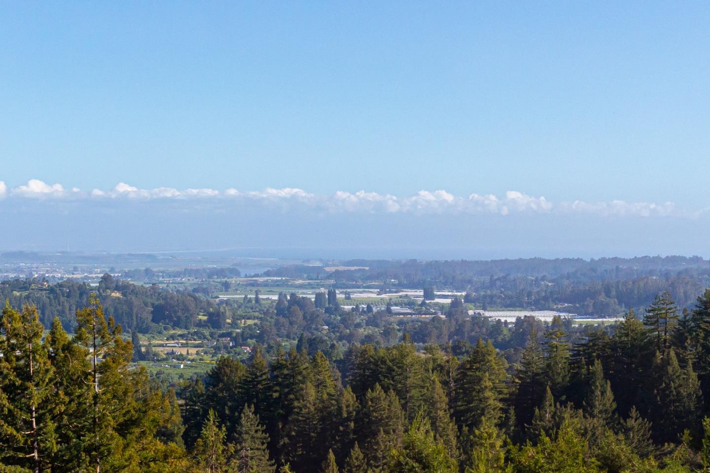 Detail Gallery Image 66 of 73 For 1081 Avocado Rd, Watsonville,  CA 95076 - 3 Beds | 2 Baths