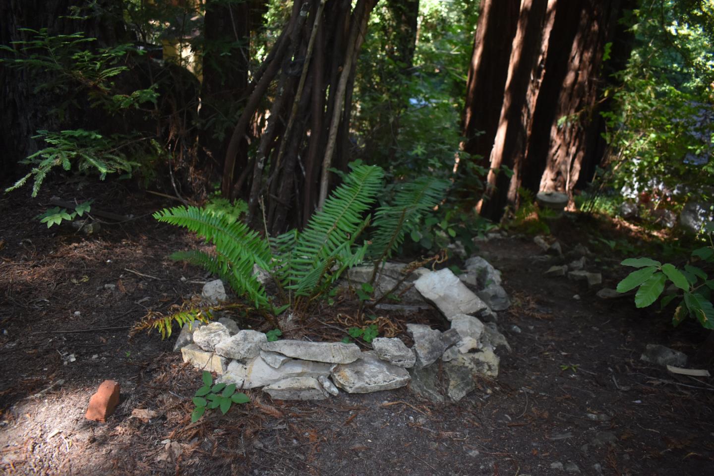 Detail Gallery Image 25 of 25 For 10158 E Zayante Rd, Felton,  CA 95018 - 4 Beds | 1 Baths