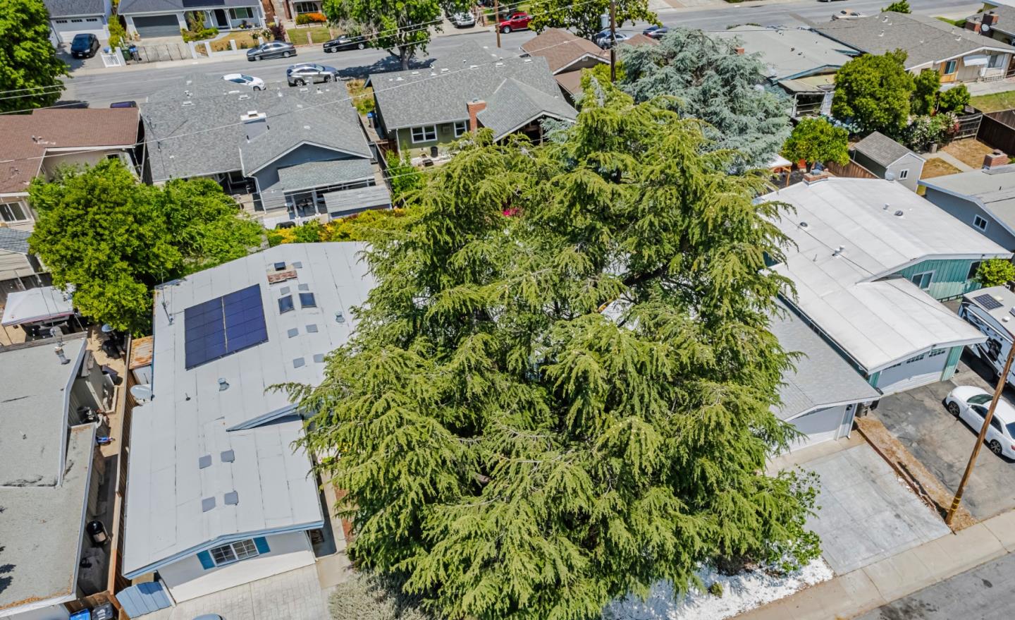 Detail Gallery Image 43 of 54 For 3375 Holly Dr, San Jose,  CA 95127 - 3 Beds | 1 Baths