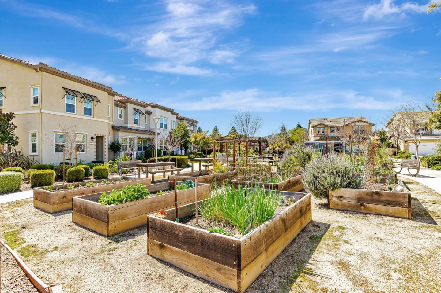 Detail Gallery Image 49 of 53 For 810 Saint Rufina Ln, Morgan Hill,  CA 95037 - 3 Beds | 2/1 Baths