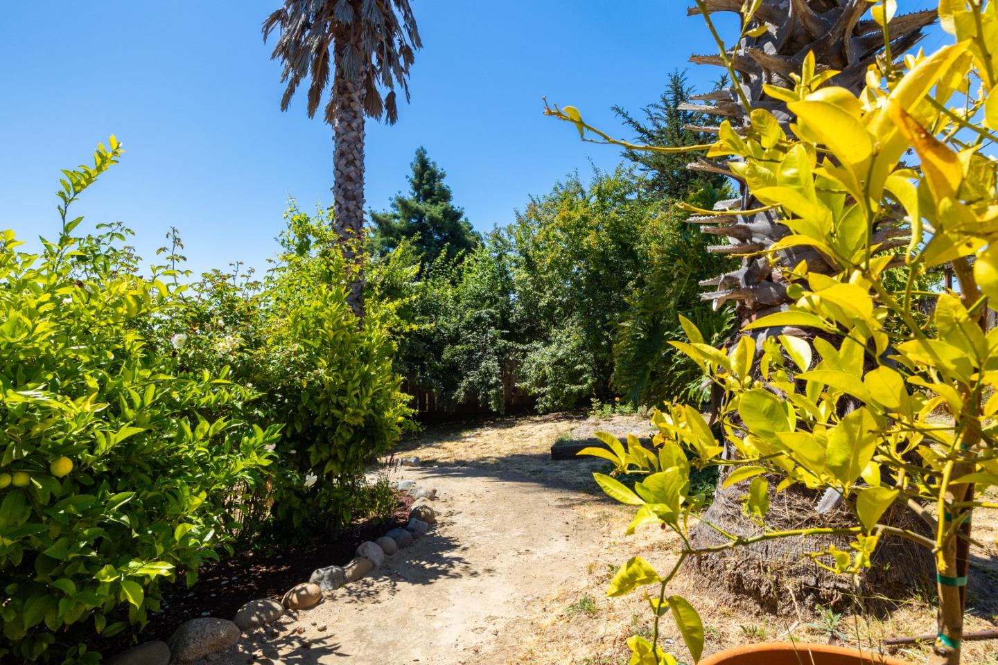 Detail Gallery Image 12 of 89 For 222 Manfre Rd, Watsonville,  CA 95076 - 3 Beds | 2/1 Baths