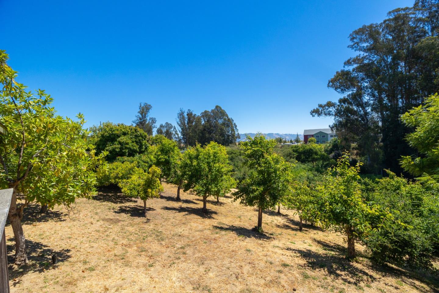 Detail Gallery Image 52 of 89 For 222 Manfre Rd, Watsonville,  CA 95076 - 3 Beds | 2/1 Baths