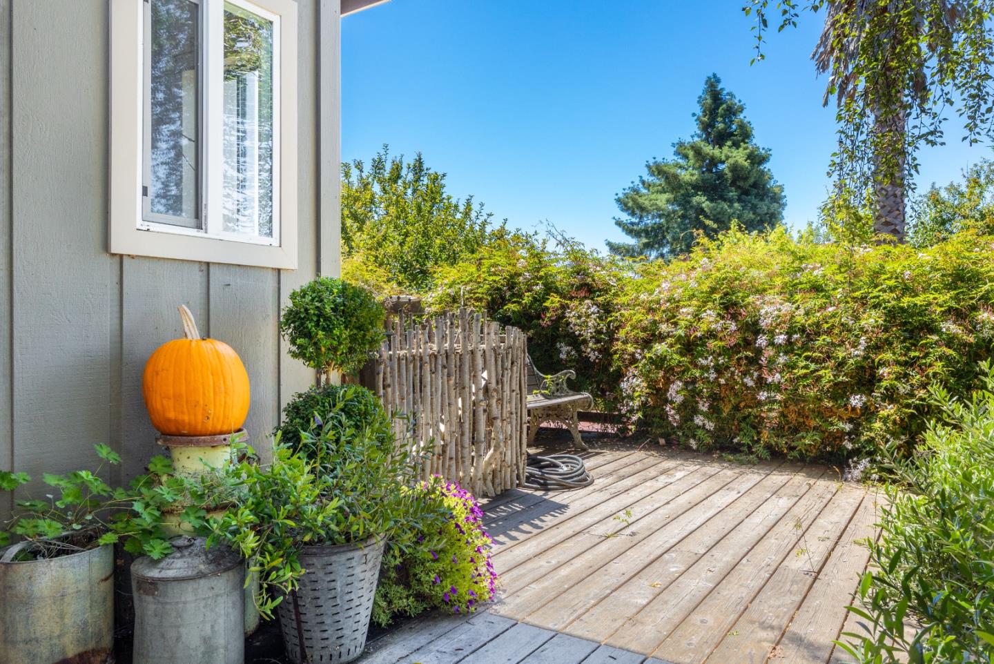 Detail Gallery Image 72 of 89 For 222 Manfre Rd, Watsonville,  CA 95076 - 3 Beds | 2/1 Baths