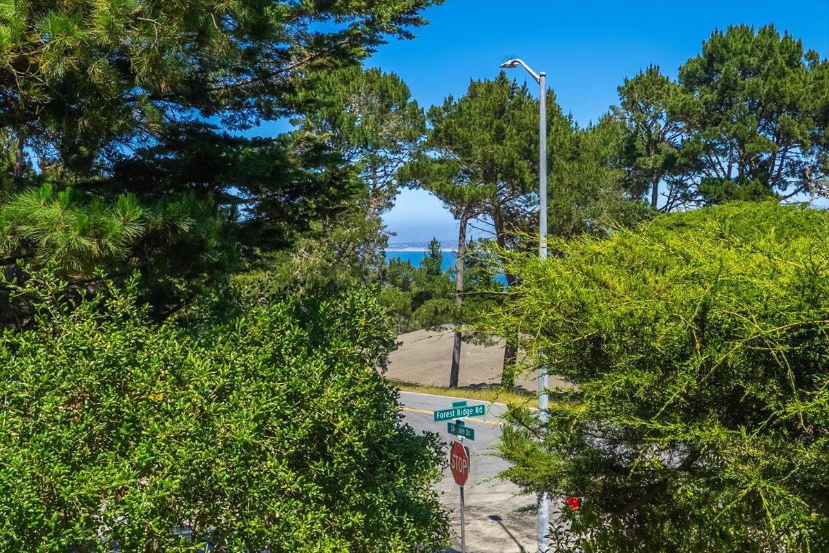 Detail Gallery Image 18 of 93 For 1 Windsor Rise, Monterey,  CA 93940 - 3 Beds | 2/1 Baths
