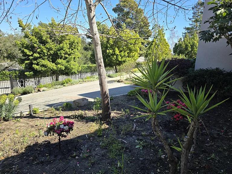 Detail Gallery Image 16 of 33 For 555 Darrell Rd, Hillsborough,  CA 94010 - 4 Beds | 2/1 Baths