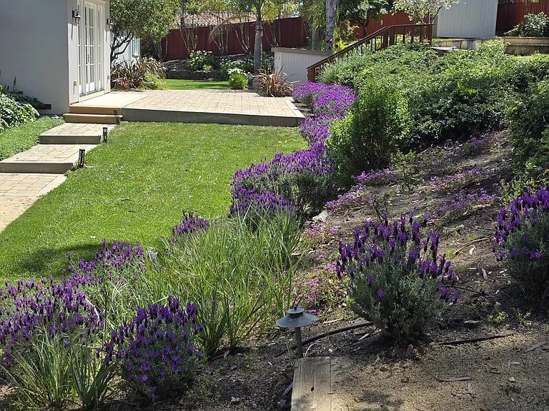 Detail Gallery Image 18 of 33 For 555 Darrell Rd, Hillsborough,  CA 94010 - 4 Beds | 2/1 Baths