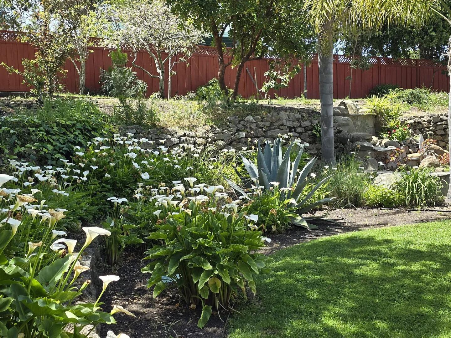 Detail Gallery Image 19 of 33 For 555 Darrell Rd, Hillsborough,  CA 94010 - 4 Beds | 2/1 Baths